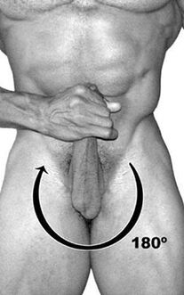 Exercise call for a member