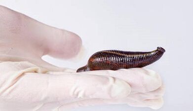 Leech Cream Member to increase