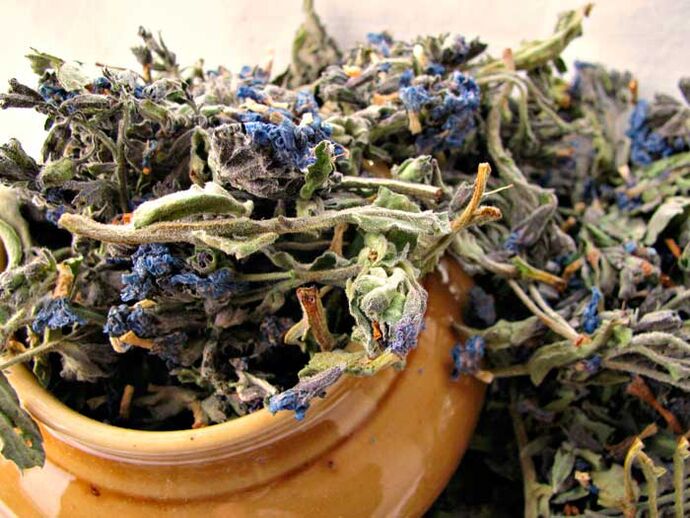 Dried blister to prepare a healing infusion that enlarges the male penis