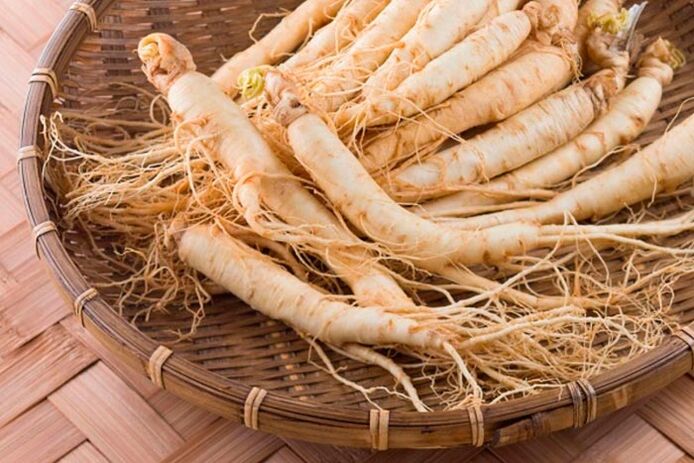 Ginseng root for tincture that stimulates blood circulation in penile tissues