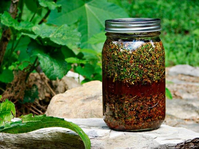 Worm decoction will help increase the size of the male genitalia